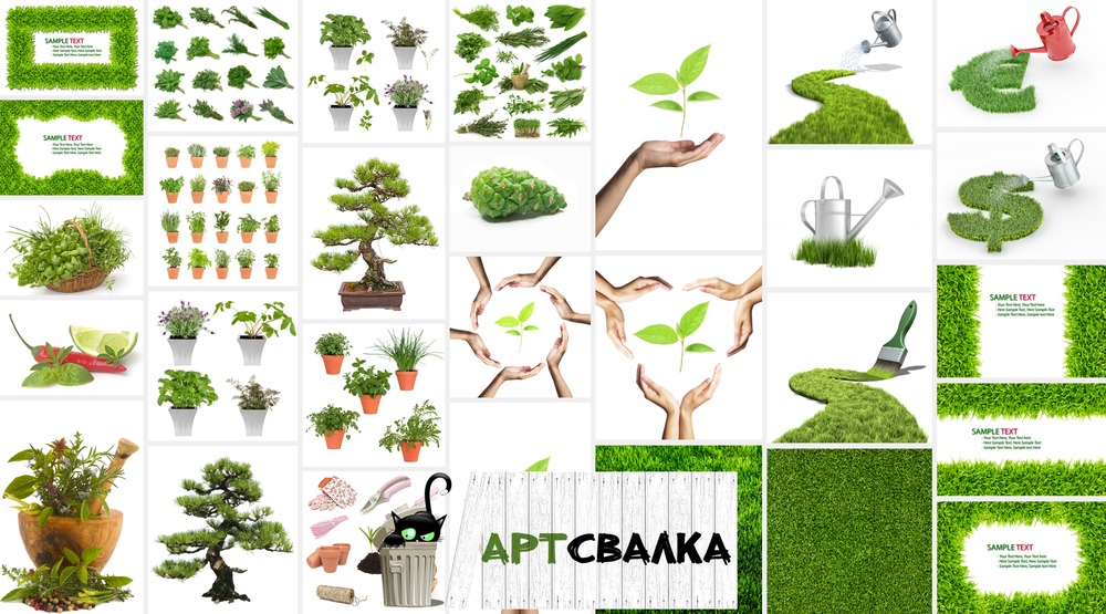 Травяные рамки, зелень и природа | Herbal frame, greenery and nature